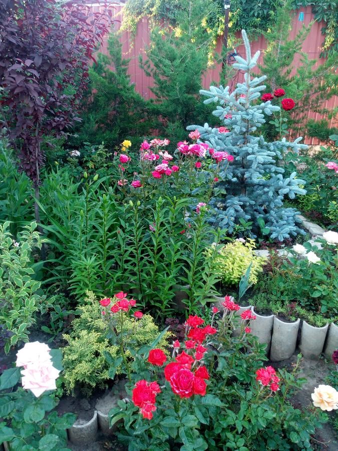 Гостевой дом Гостевой Дом Комфорт Херсон-22